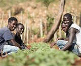 Potato work in the North Rift (Kenya), Photo: Hugh Rutherford for CIP