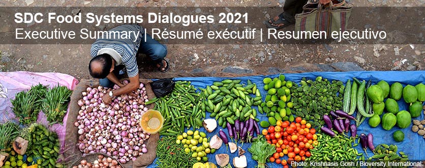 SDC Food Systems Dialogues - Executive Summary (Photo: Krishnasis Gosh / Bioversity International