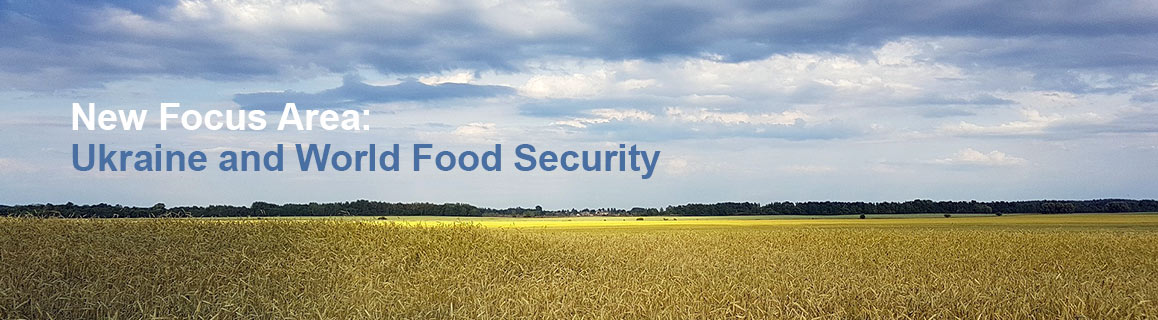 Wheat field in Ukraine