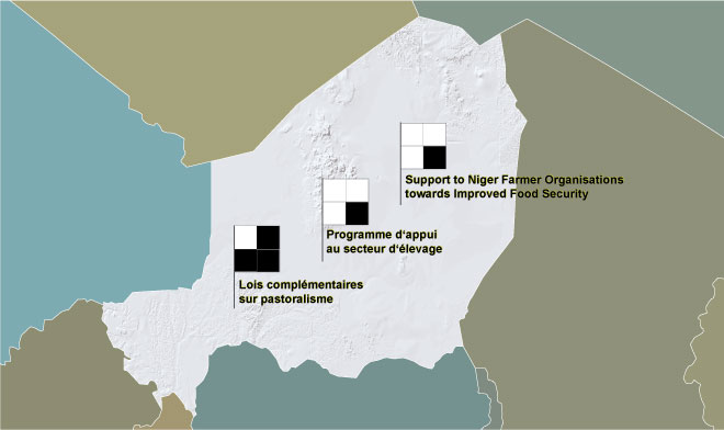Land Governance: Niger