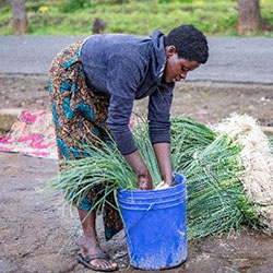 Woman washing vegetables before selling in Rubavu © Alice Kayibanda/Swiss TPH/Fairpicture