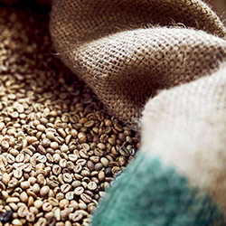 ethiopia traceability