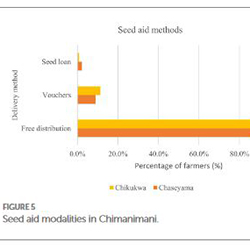 Seed aid modalities in Chimanimani, Zimbabwe